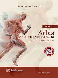 Atlas Anatomi Otot Manusia Untuk Fisioterapi : Edisi 2